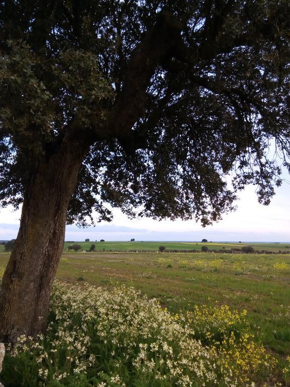 Pension El Abuelo Карбельино Экстерьер фото